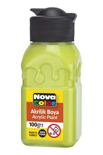 Nova Color Akrilik Boya Fıstık Yeşil  100 c NC-2027